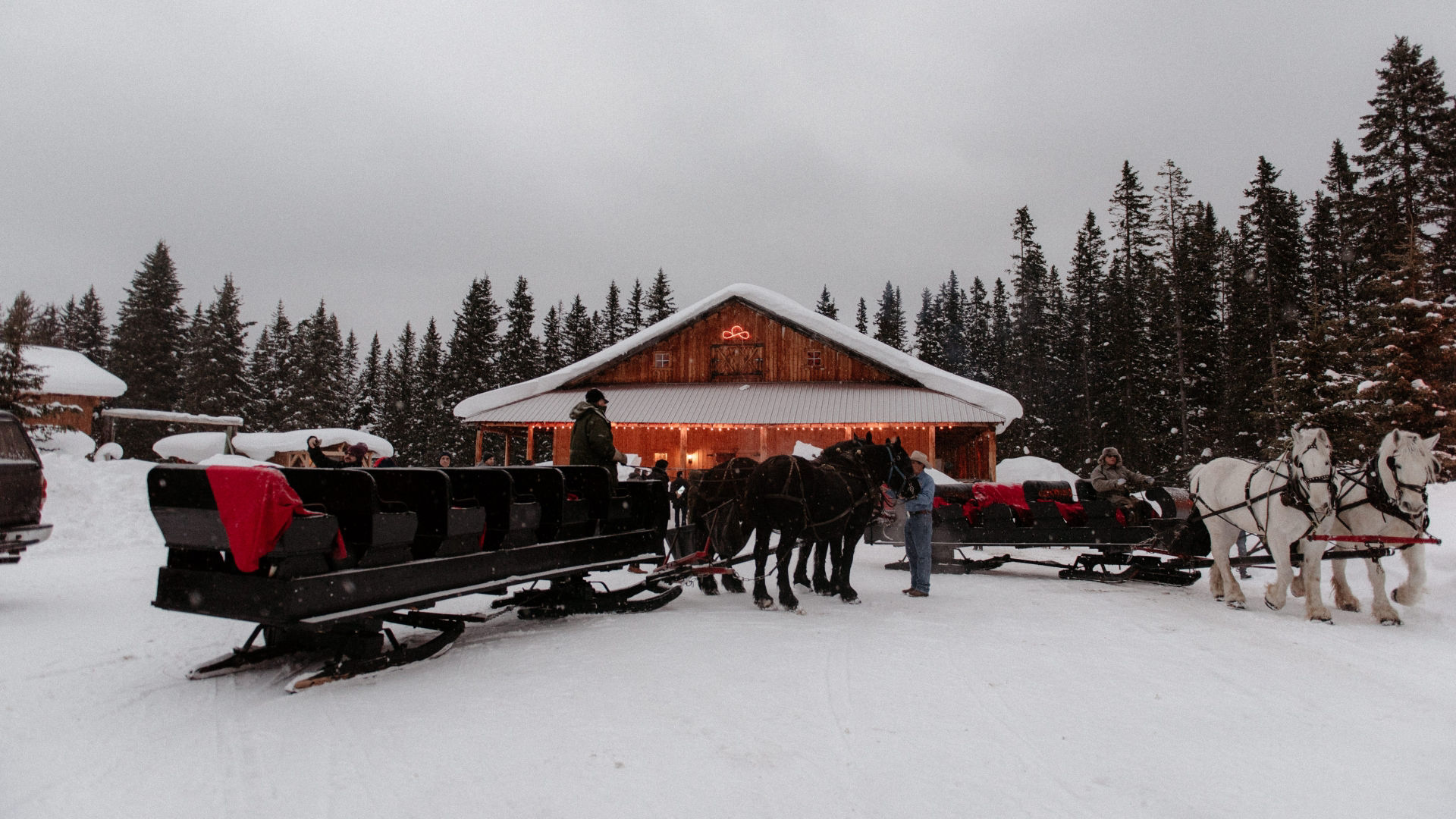 Destination Management Experience